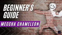 Beginner's Guide to Meccha Chameleon